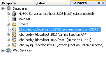 The host address of the database