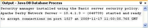 Java output window after starting the server