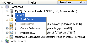 Start the JAVA DB server