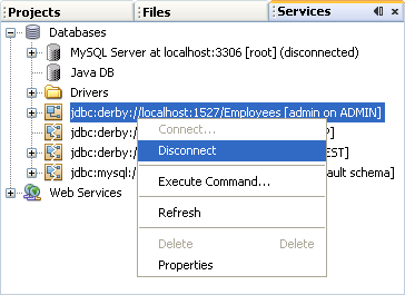 Disconnecting from your  Java DB database