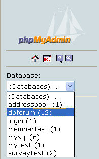 The phpMyAdmin page