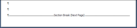 A section break showing at the bottom of the page