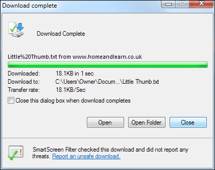 The Download Complete dialogue box in Internet Explorer