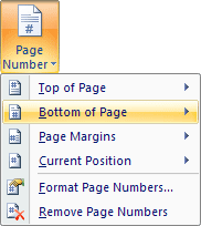 The Page Number menu
